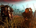 TheWitcher2_battle03.jpg