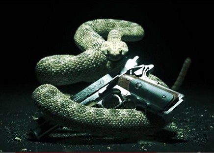 550x-hitman-absolution-announcement