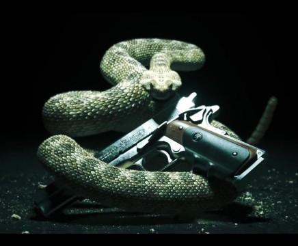 Hitman Absolution Hitman Absolution