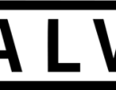 valvesoftware.com-logo