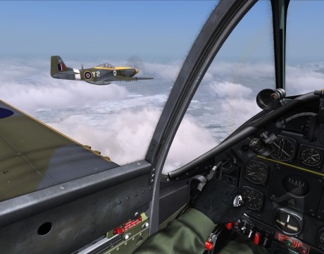 DCS P51D 11