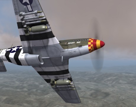 DCS P51D 3