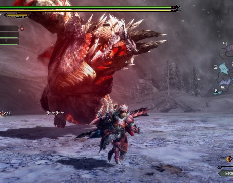 Monster-Hunter-3-Ultimate_2012_10-11-12_005
