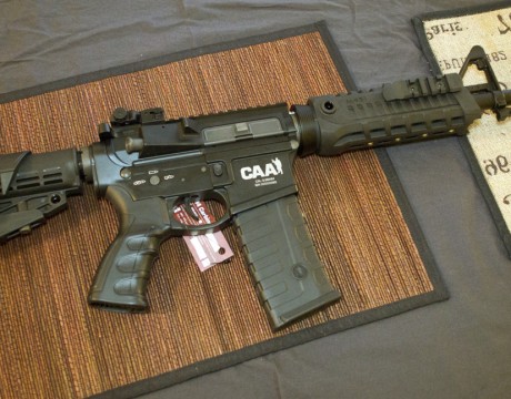 gun10