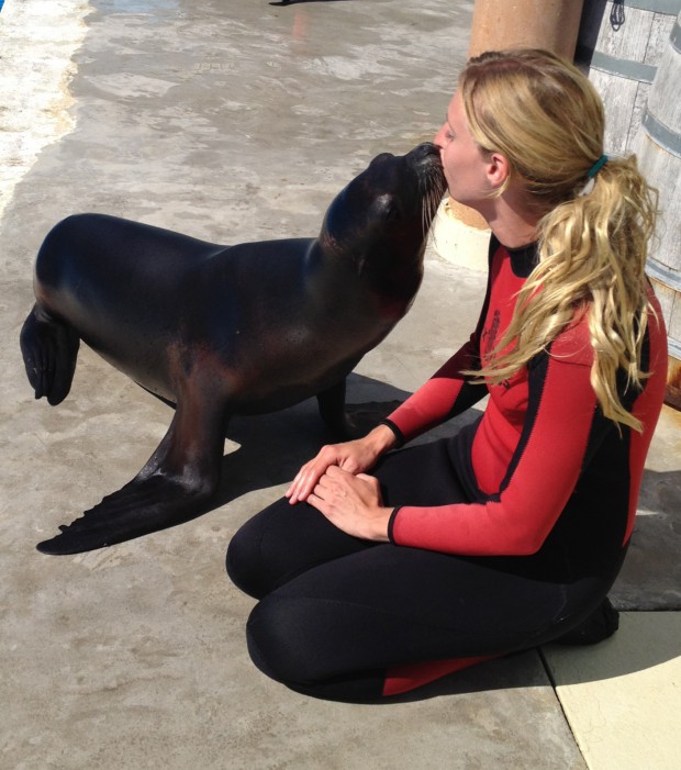Animal trainer receives a sea lion kiss