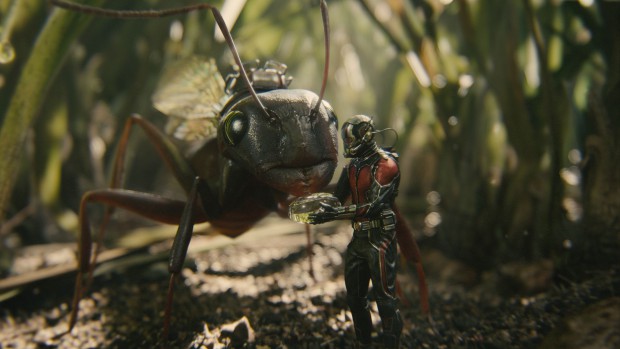 ant-man-feeding-ant