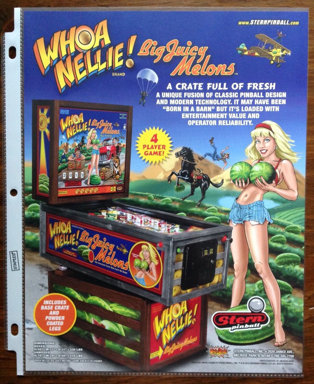 Whoa-Nelly-Big-Juicy-Melons-Pinball-Machine-Flyer-_57q | GamingShogun