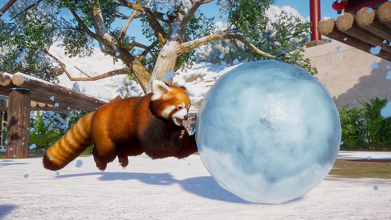 Zoo Getting Free the Arctic Pack DLC GamingShogun