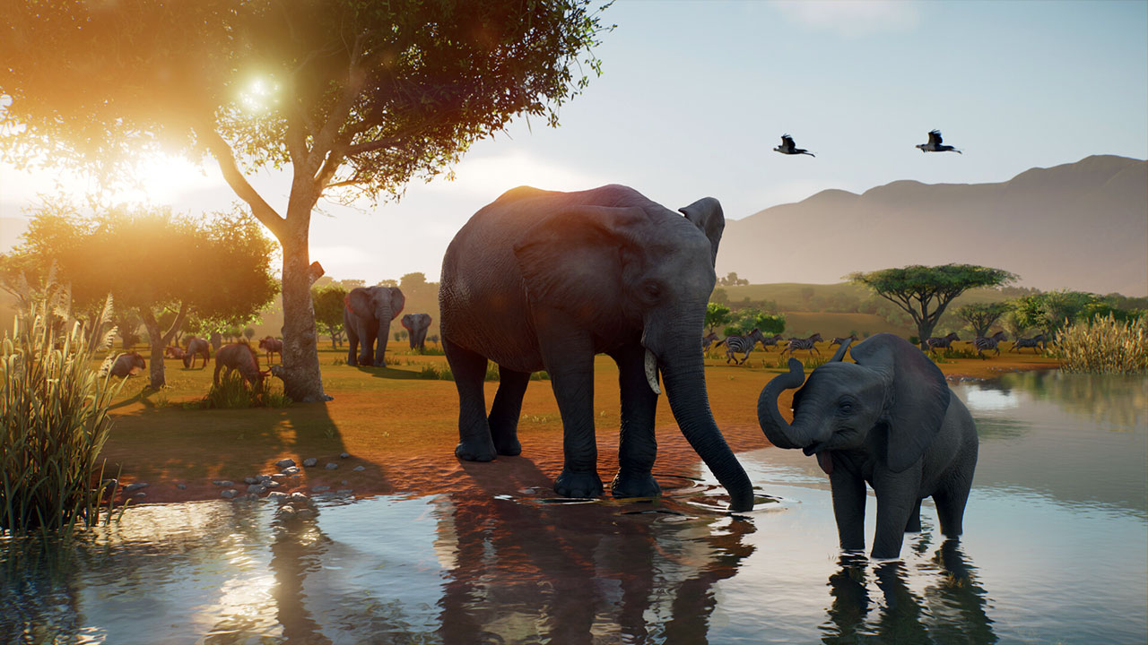 Planet Zoo 2 Feature Focus Frequent Flyers Trailer